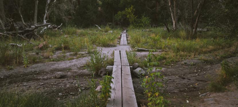 Let’s Talk About Clearing Pathways After the&nbsp;Pandemic