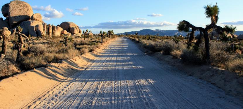 What is the Pandemic Preparing us to Talk&nbsp;About?